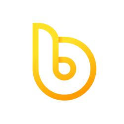 bDollar Logo